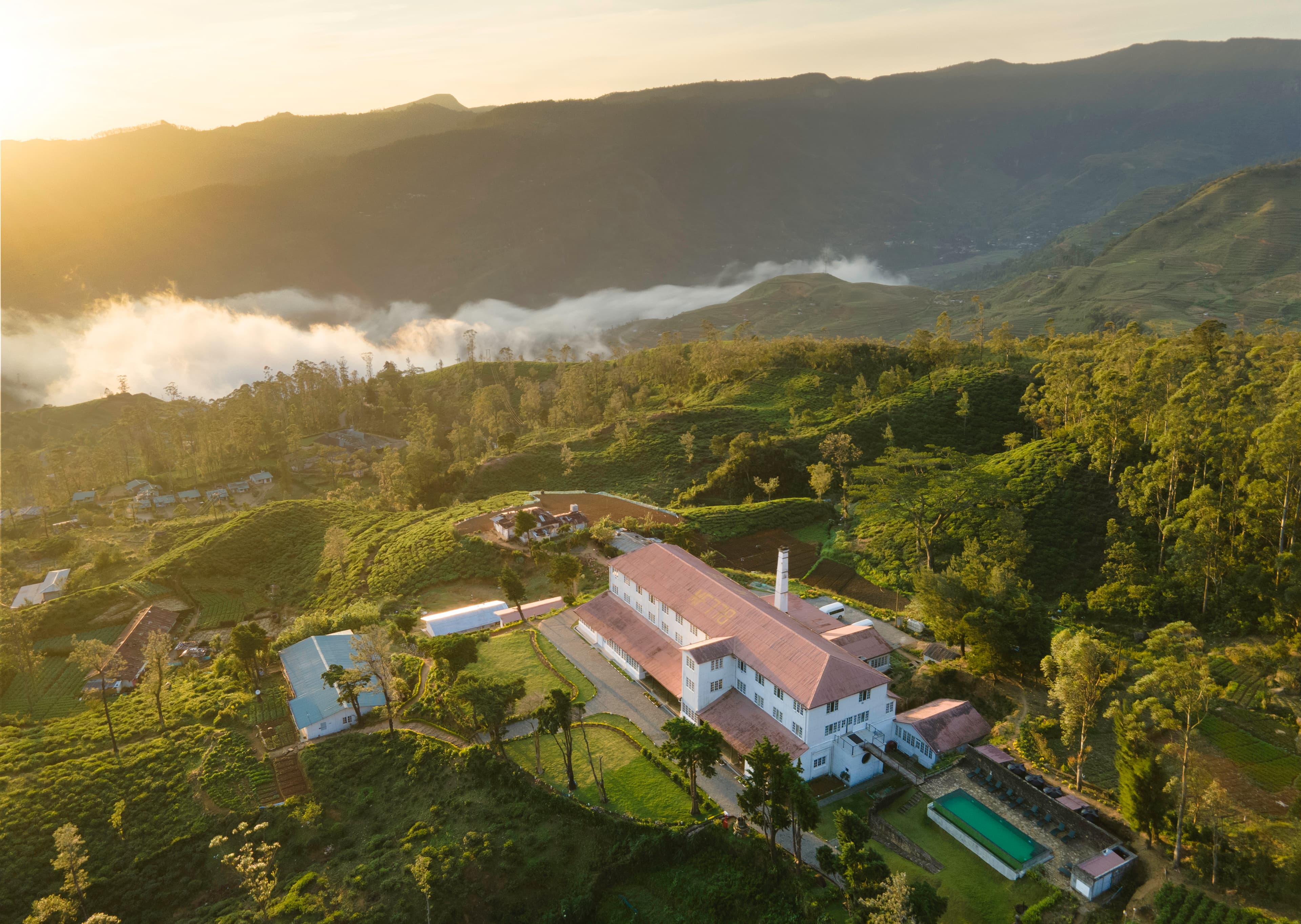 Tea & Experience Factory