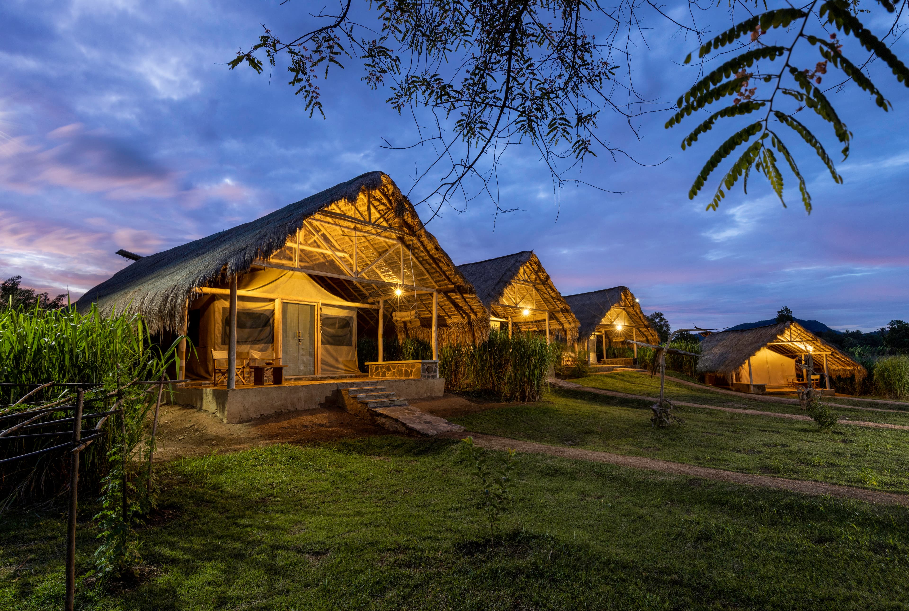 Wild Glamping Gal Oya